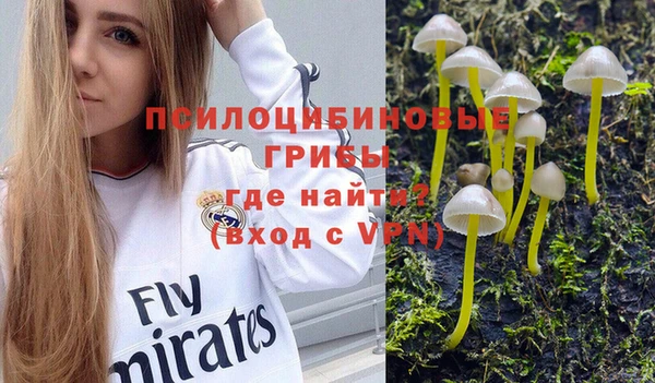дурь Алзамай
