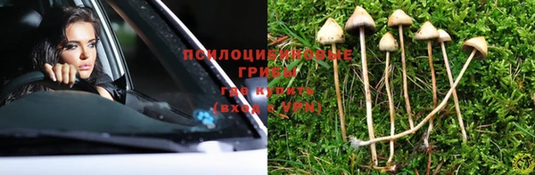 дживик Алексин