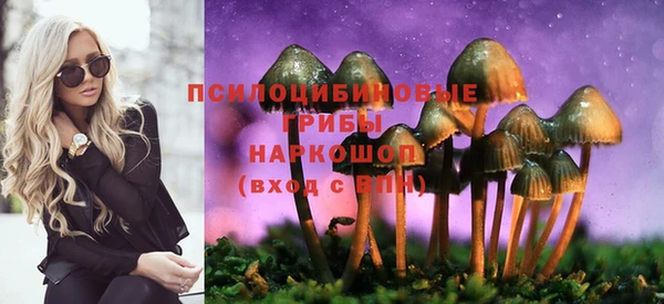 дживик Алексин