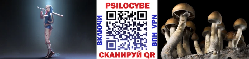 Псилоцибиновые грибы Magic Shrooms  даркнет какой сайт  Суровикино  продажа наркотиков 