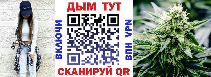 где найти наркотики  Суровикино  Конопля AK-47 